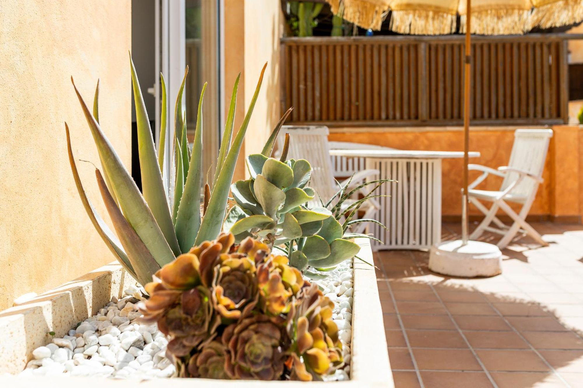 Palm Beach House Corralejo Extérieur photo