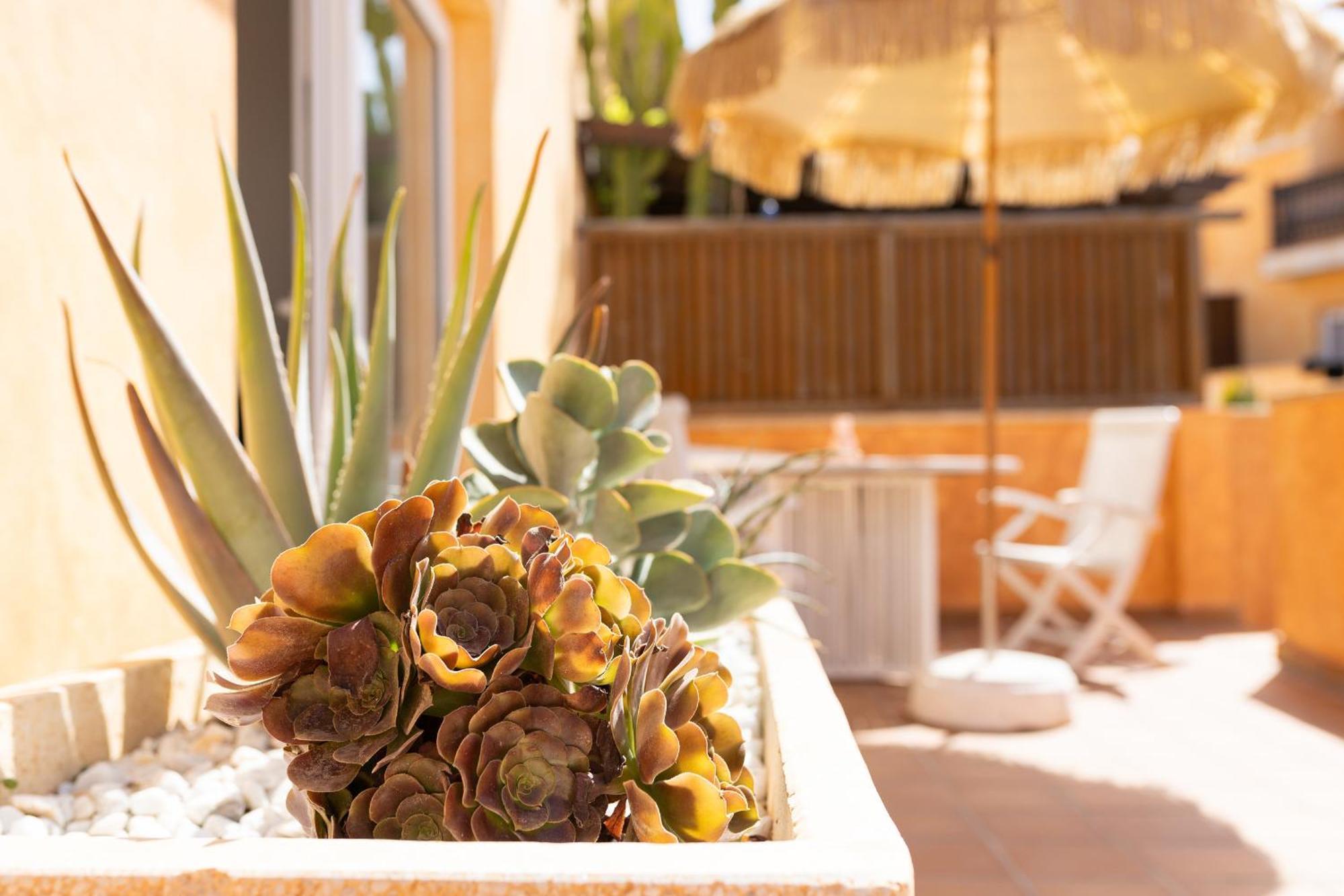 Palm Beach House Corralejo Extérieur photo